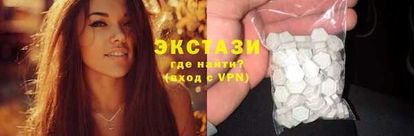 хмурый Алексин